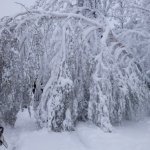 Intensywne opady atmosferyczne – Kwiecień 2017 r.